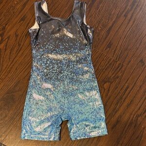 Shimmering Blue and Black Leotard